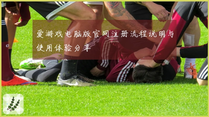 爱游戏电脑版官网注册流程说明与使用体验分享