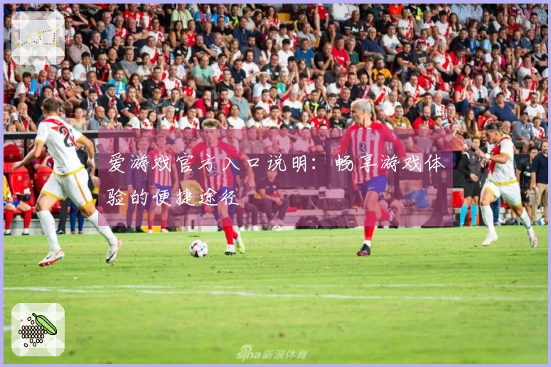 爱游戏官方入口说明：畅享游戏体验的便捷途径
