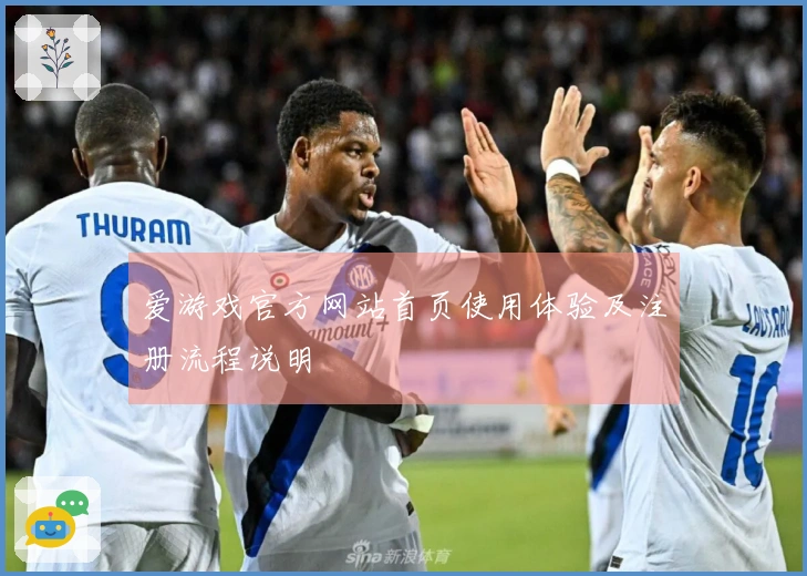 爱游戏官方网站首页使用体验及注册流程说明