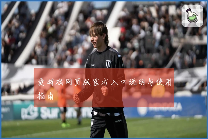爱游戏网页版官方入口说明与使用指南